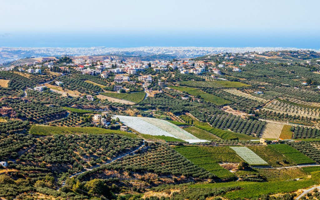 Άποψη από την αμπελουργική ζώνη του Ηρακλείου ©istock