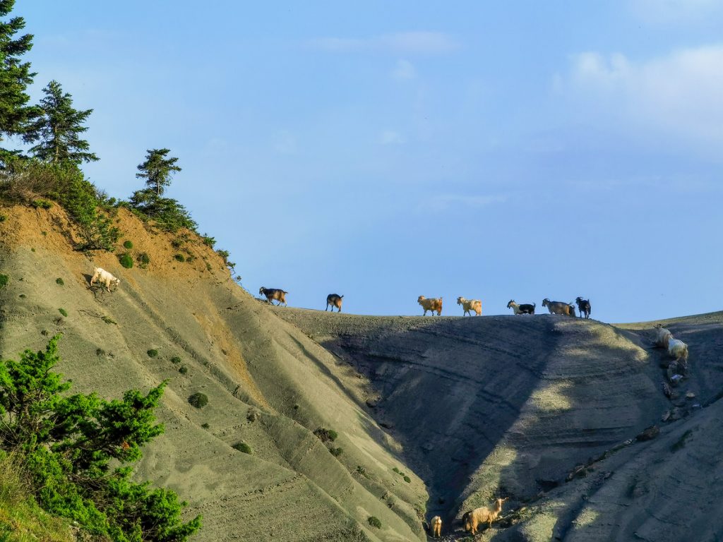 Η ζωή στο Βουλγαρέλι, έξω από το χωριό ©istock