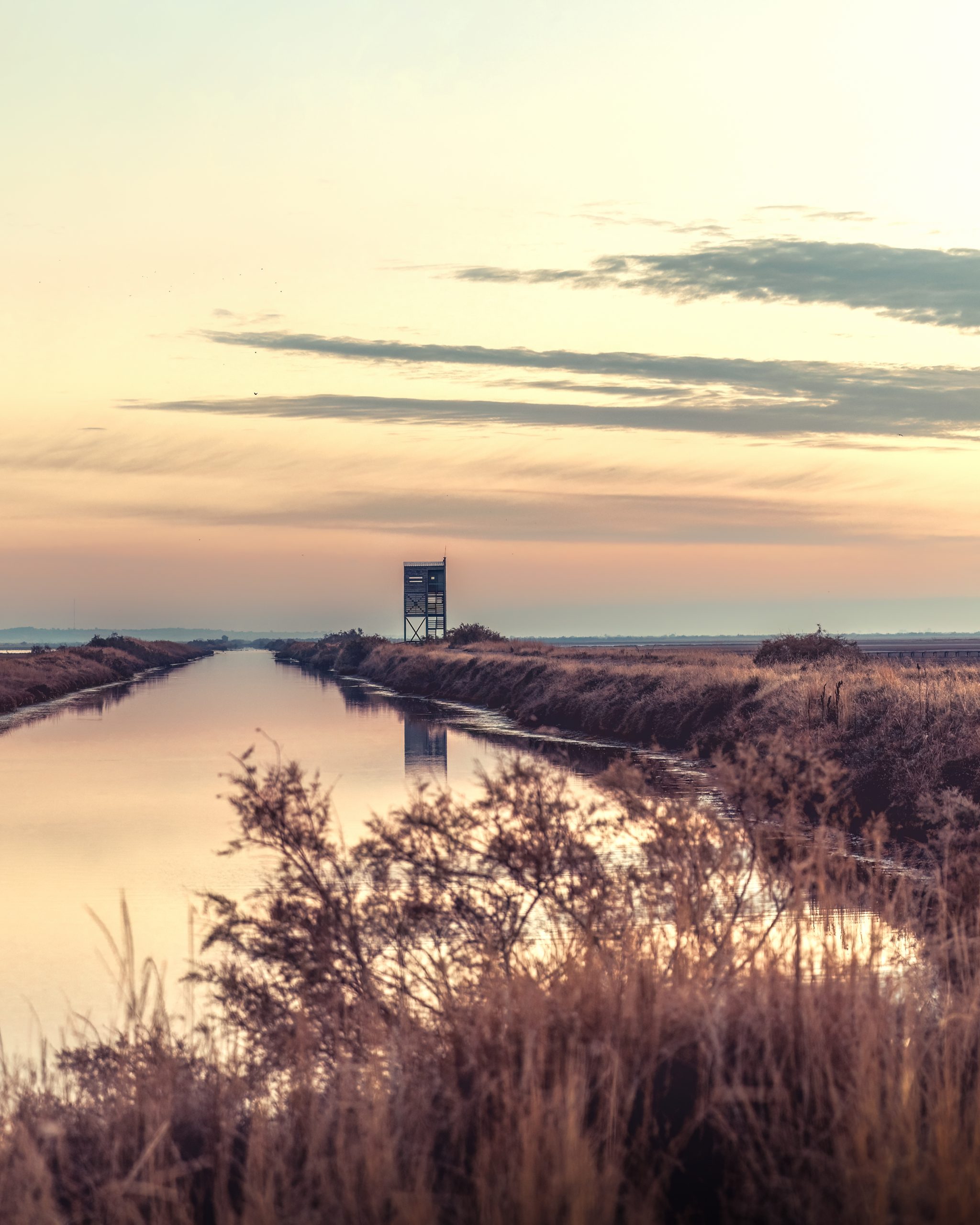 Δέλτα Έβρου ©istock