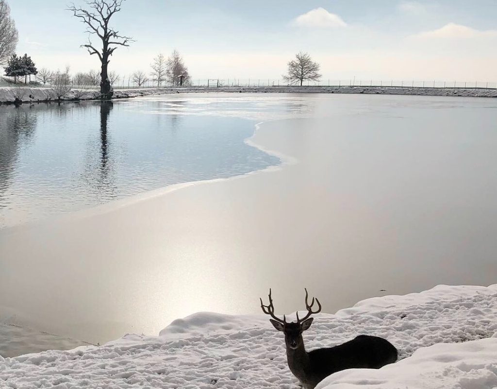 Παναγίτσα Πέλλας