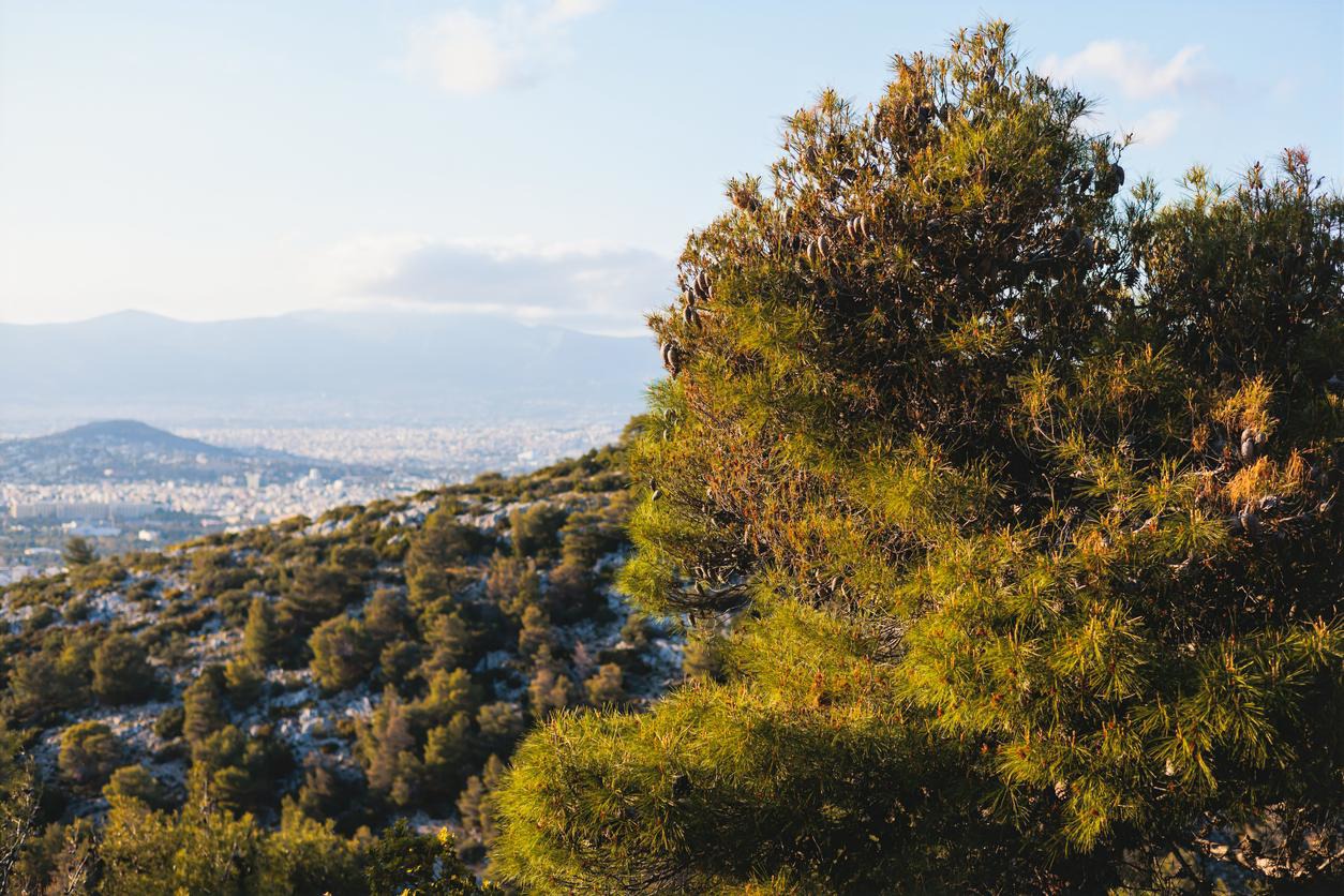 Υμηττός ©iStock